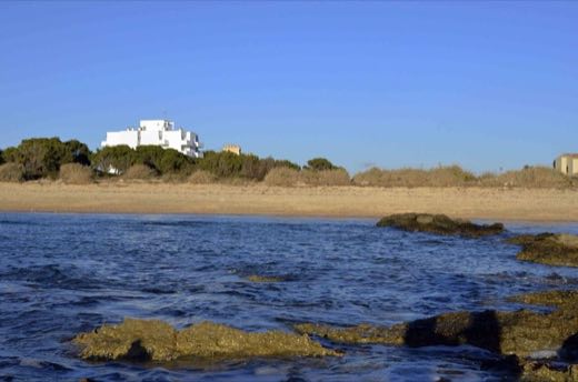 Rambada De Sa Síquia in ses Salines