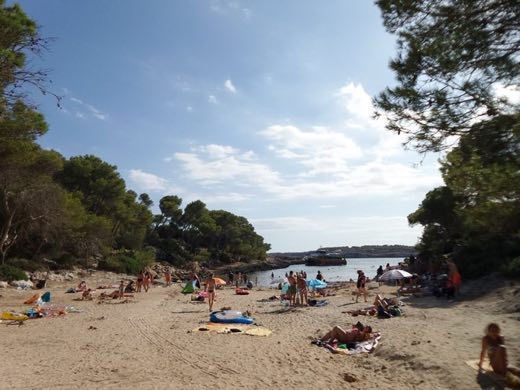 Sa Barca Trencada in Santanyí