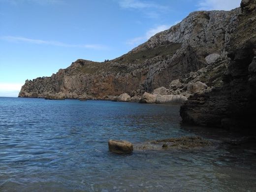 Cala Figuera in Pollença