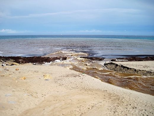 Cala Torta in Artà