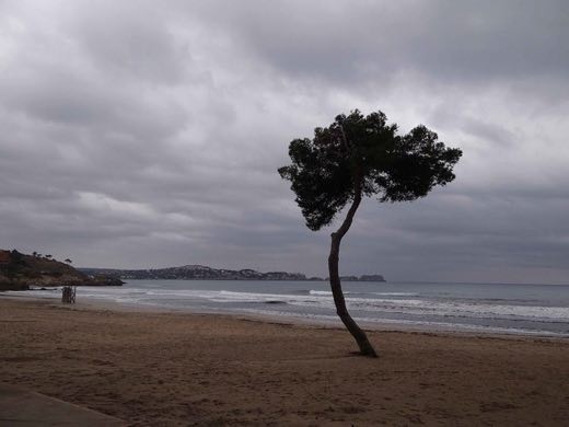 Torà in Calvià
