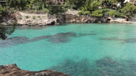 Cala Portals Nous in Calvià