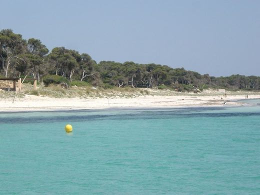 Platja Des Delfi in ses Salines