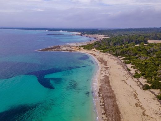Platja Des Marquès in Campos