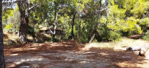 Illetes in Calvià