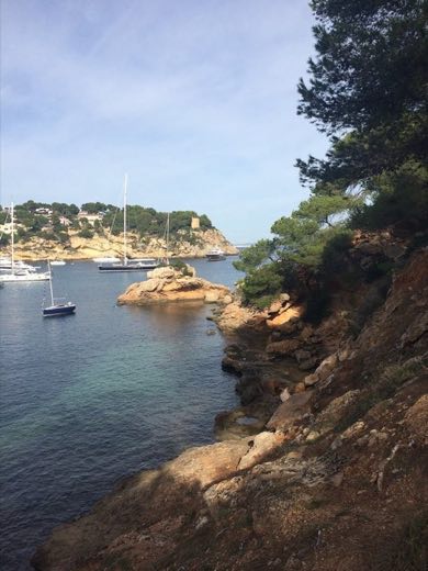 Cala Portals Vells in Calvià