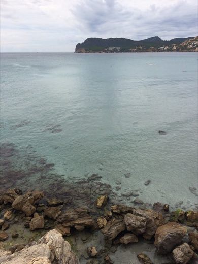Platja Des Morts in Calvià
