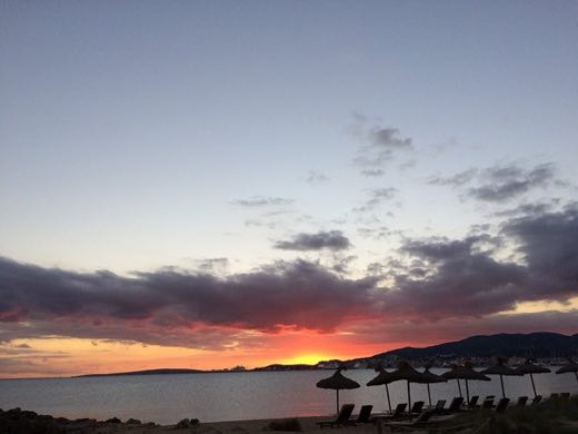 Ses Troneres in Palma