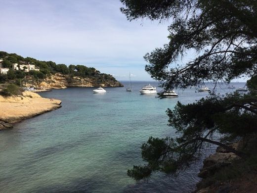 El Mago in Calvià