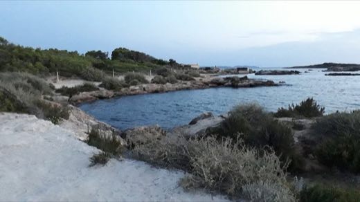 Platja Des Dolç in ses Salines
