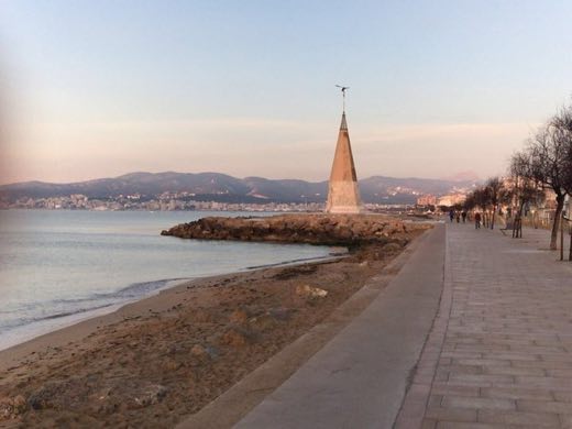 Molinar 5 in Palma