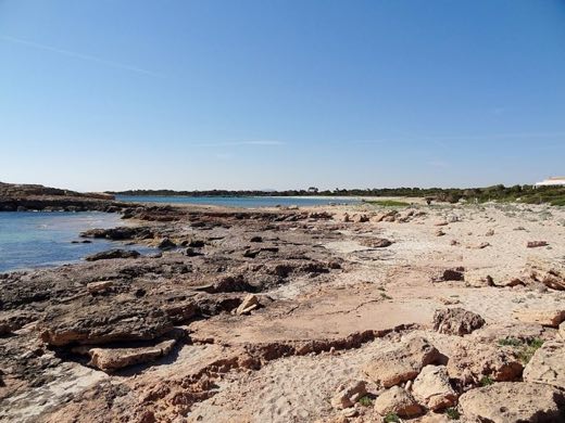 Ssa Punta Negra in Santanyí
