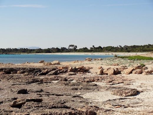 Ssa Punta Negra in Santanyí