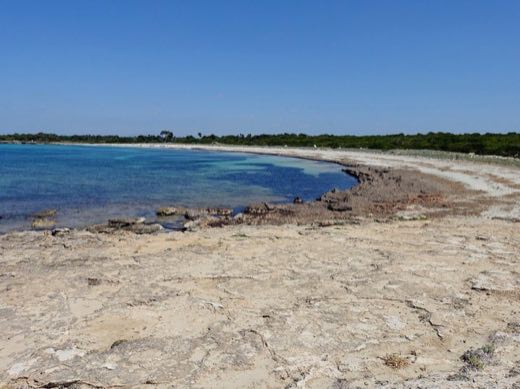 Platja Des Caragol in Santanyí