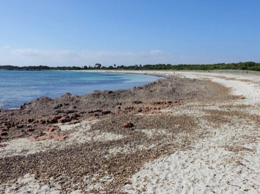 Es Caragol in Santanyí