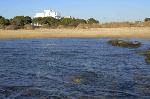 Rambada de sa Síquia in ses Salines
