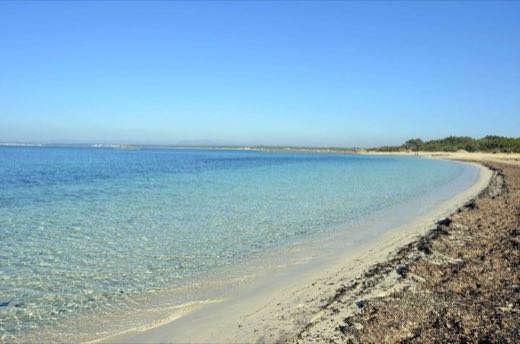 Es Marquès in Campos