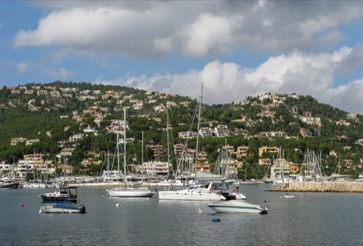 Vell des Far in Andratx