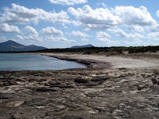 Arenal d'en Casat in Santa Margalida