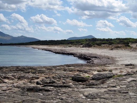 Arenal D'En Casat in Santa Margalida