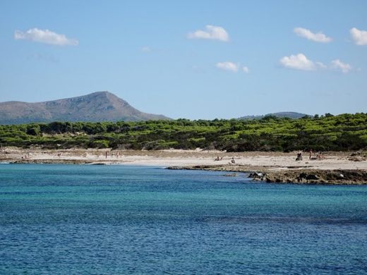 Son Real 5 in Santa Margalida