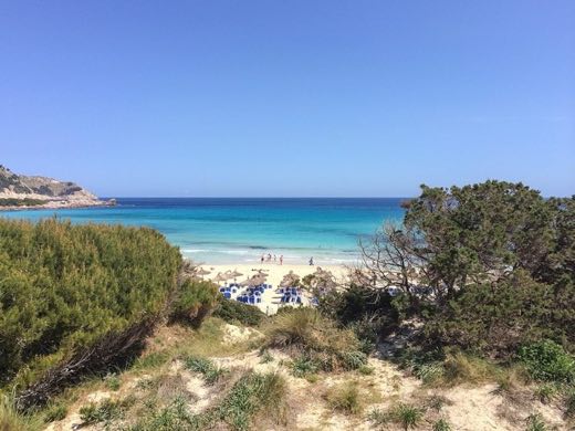 Cala Agulla in Capdepera