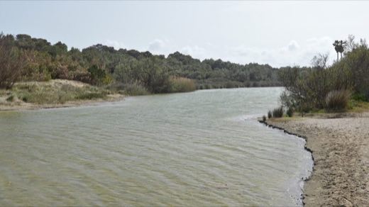 Platja De Na Patana in Santa Margalida